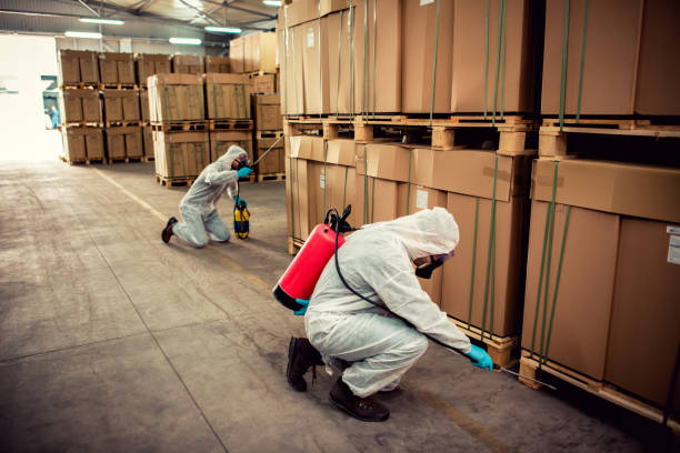 Best Affordable Pest Control Services  in Hidden Valley, IN