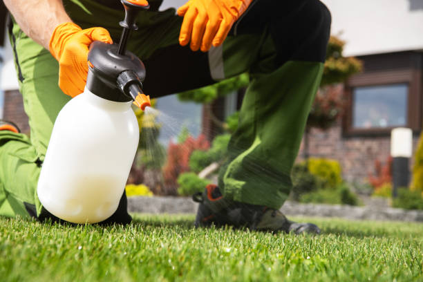 Best Best Pest Control Companies  in Hidden Valley, IN