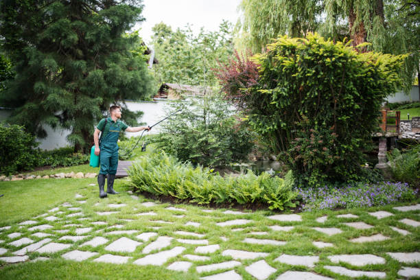 Best Mosquito Control Services  in Hidden Valley, IN