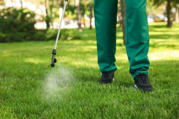 Best Mosquito Control Services  in Hidden Valley, IN