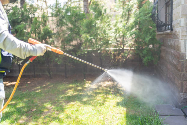 Best Local Pest Control Services  in Hidden Valley, IN